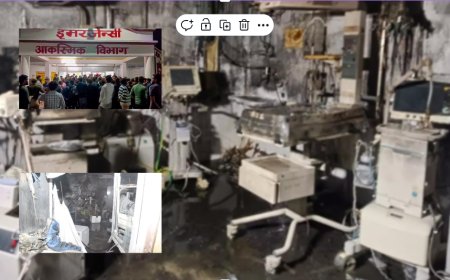 Jhansi Hospital Fire: Parents Demand DNA Tests for Missing Babies