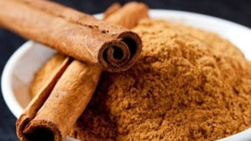 Cinnamon Uses In Daily Life And In Ayurvedic Purpose Get to Know How It's useful