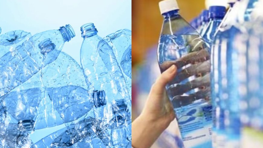 A Plastic Water Bottle of 1 Litre Contains Around 2,40,000 Fragments of Plastic