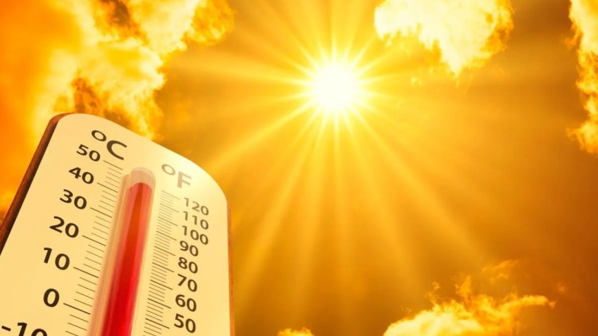 2024 is expected to be warmer than 2023! Let’s look at the temperature trends