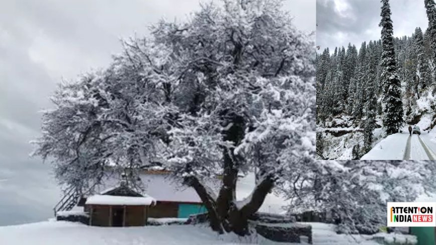 Himachal experiences thick snowfall of the season: Manali looks breathtakingly beautiful