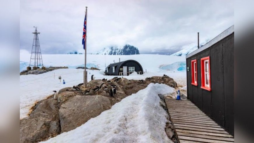 Dream Job Alert: Counting Penguins at the World's Southernmost Post Office