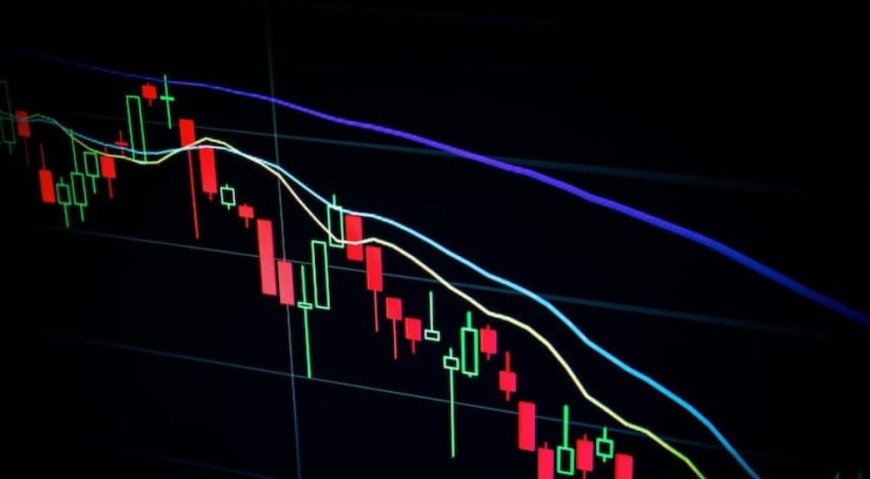 Favourite stocks of regular investors that saw multibaggers in FY24