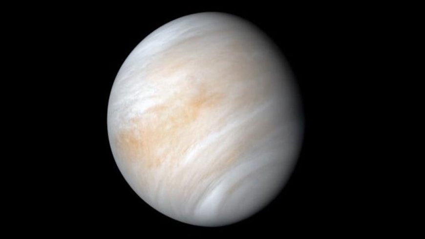 A Detailed Examination of Venus' Atmosphere: Composition and Development