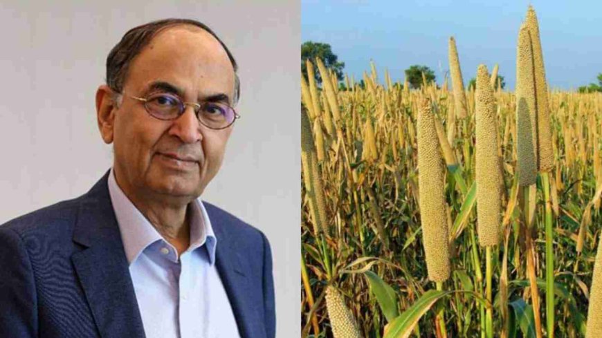 PS Gahlaut Shares Effective Weed Control Strategies For Millet Crops