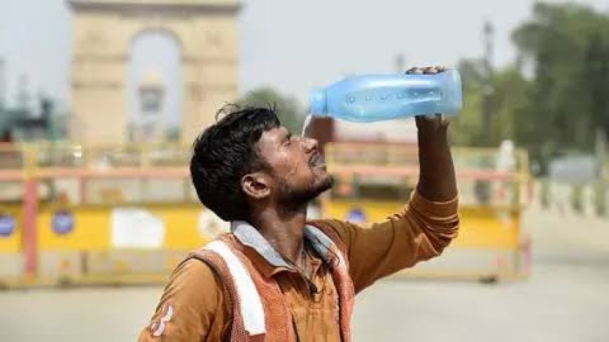 India Faces Highest Heatwave Days This Summer After 2010