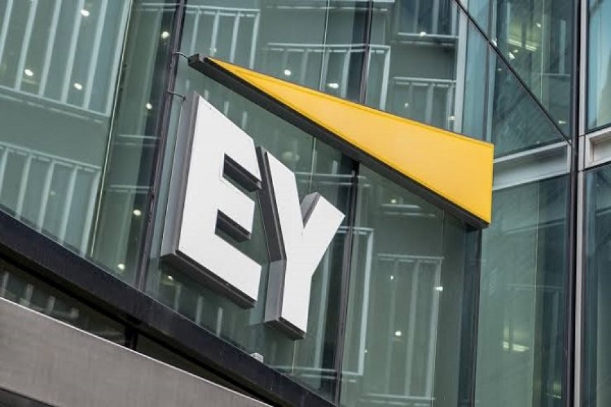 Tragic Death of EY Employee Sparks Conversation on Toxic Work Culture