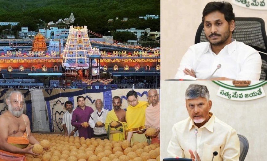 Tirupati Laddu Adulteration Controversy: Know The Full Story