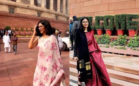 From Parliament to Instagram: Rajya Sabha MP Swati Maliwal's Reel Sparks Debate