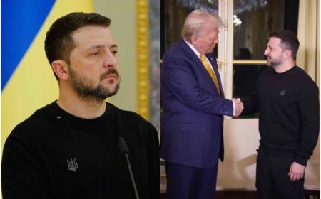Ukrainian President Volodymyr Zelensky Criticized for Dressing Casual During Meeting with Donald Trump