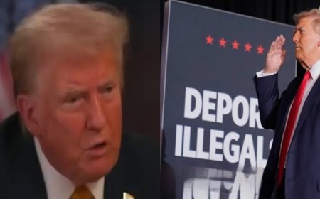 Trump to Stop Business with Countries Against Deportation of Illegal Immigrants