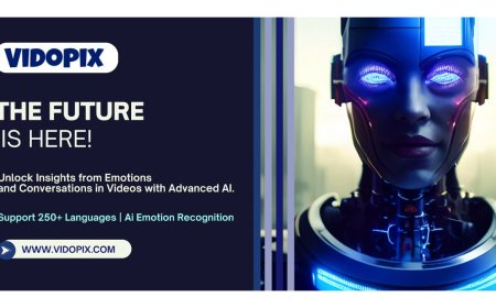 Vidopix AI Radically changing the Videos to Growth Engines