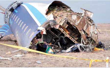 Azerbaijan Airlines Plane Crash: A Bird Strike Tragedy?
