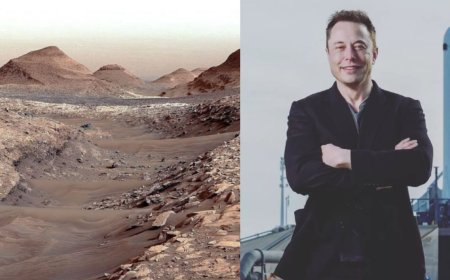 Elon Musk Predicts Mars as the 'New World' for Humanity's Future