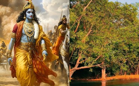 Uttarakhand Unveils New Garden Inspired by Mahabharata with 37 Plants