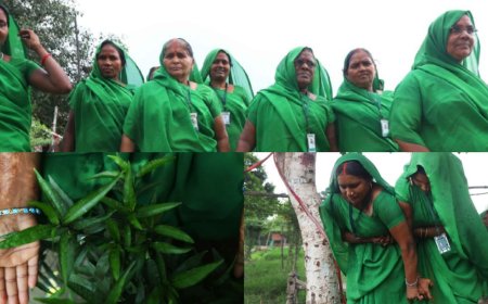 PM Modi Commends Women-Led ‘Green Army’ for Driving Social Change