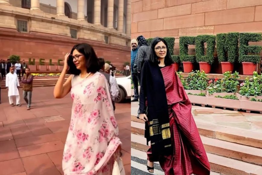 From Parliament to Instagram: Rajya Sabha MP Swati Maliwal's Reel Sparks Debate