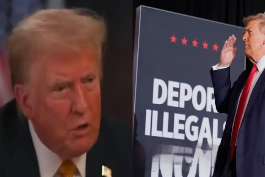 Trump to Stop Business with Countries Against Deportation of Illegal Immigrants