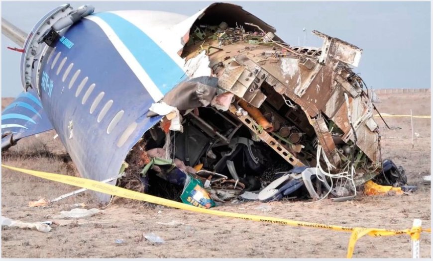 Azerbaijan Airlines Plane Crash: A Bird Strike Tragedy?