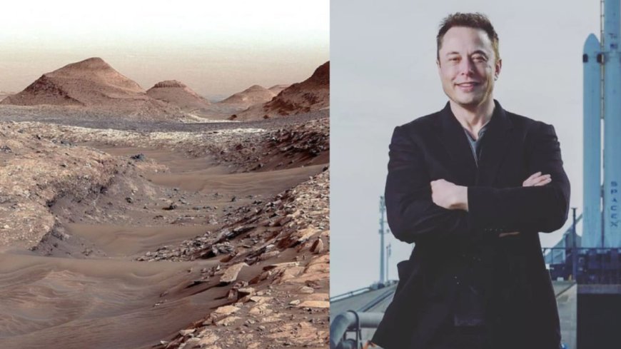 Elon Musk Predicts Mars as the 'New World' for Humanity's Future