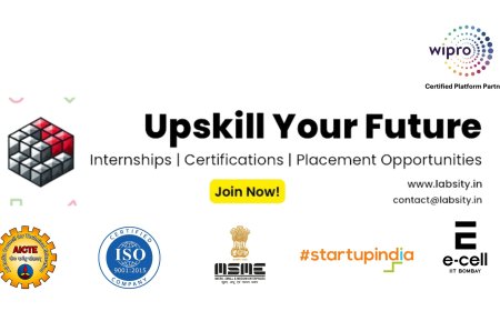 Labsity: Empowering Students with Industry-Integrated Learning