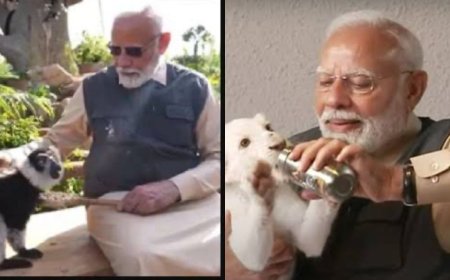 PM Modi Inaugurates Vantara: A Refuge for Rescued Animals