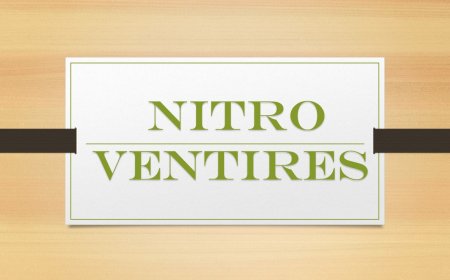 Nitro Ventures: Helping Businesses Grow and Succeed
