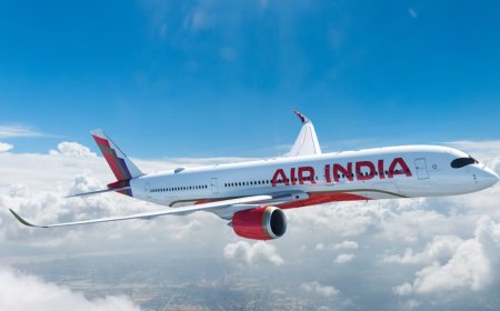 Air India Flight Returns to Chicago After 10 Hours, 11 Toilets Clogged