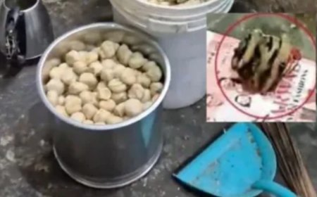 Dog's Cut Head uncovered in Fridge at Momo Bakery Near Chandigarh