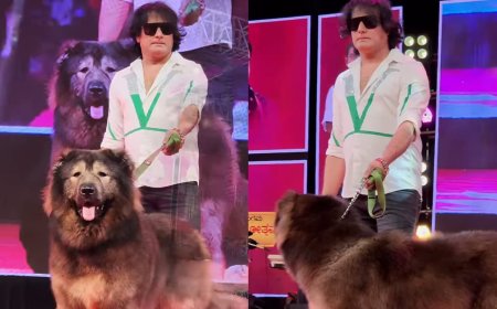 Bengaluru Breeder Pays ₹50 Crore for World’s Most Expensive Half-Wolf, Half-Dog