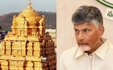 Andhra CM Chandrababu Naidu: Only Hindus Should Be Working at Tirumala Temple