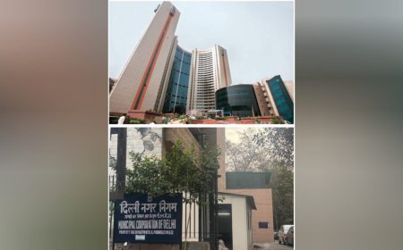 Municipal Corporation of Delhi Urges Property Tax Non-Filers in South Zone to Comply Before Deadline