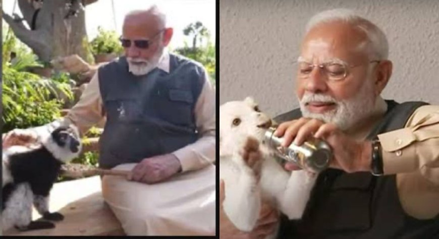 PM Modi Inaugurates Vantara: A Refuge for Rescued Animals