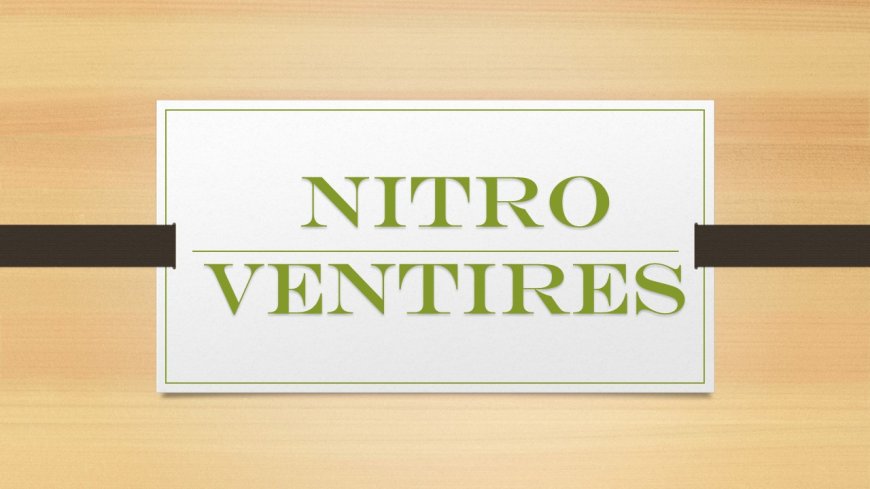 Nitro Ventures: Helping Businesses Grow and Succeed