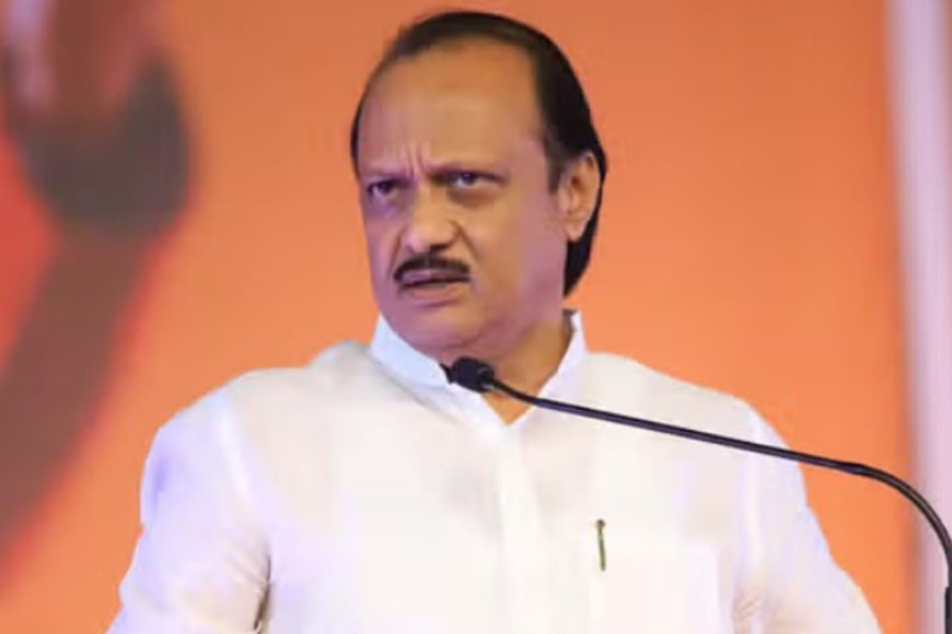 Maharashtra Budget 2025: Ajit Pawar deliver the Mahayuti Govt's First Budget