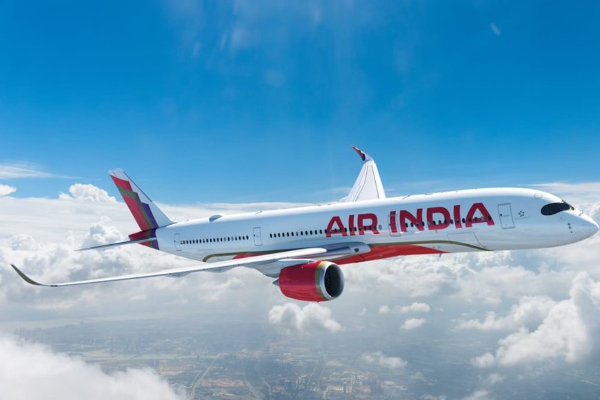 Air India Flight Returns to Chicago After 10 Hours, 11 Toilets Clogged