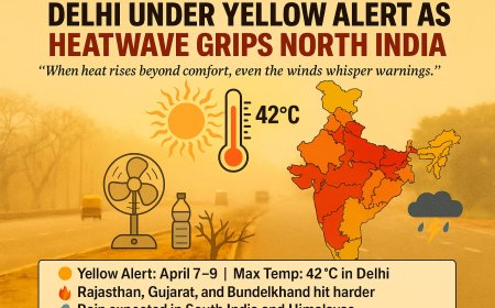 Delhi on Heat Alert: IMD Issues Yellow Warning for Next 3 Days