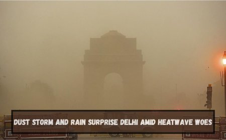 Dust Storm and Rain Surprise Delhi Amid Heatwave Woes