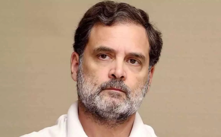 Why Did Rahul Gandhi Call His Own Leaders 'Wedding Horses'?