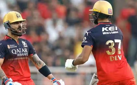 IPL 2025: Half Centuries of Virat Kohli & Devdutt Paddikal Helped RCB Win Against Punjab Kings