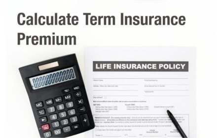 How to Use a Term Insurance Calculator to Analyse Investment Growth