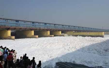 Yamuna Needs Smarter Plans, Not Just More Money