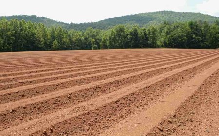 Registry Scam in Rae Bareli: Man Fakes Dead Farmer to Sell Land