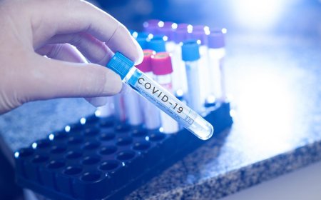 Delhi Reports 23 New Covid Cases, Hospitals Asked to Stay Ready