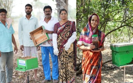Vedanta Aluminium celebrates World Bee Day with farmers in rural Odisha