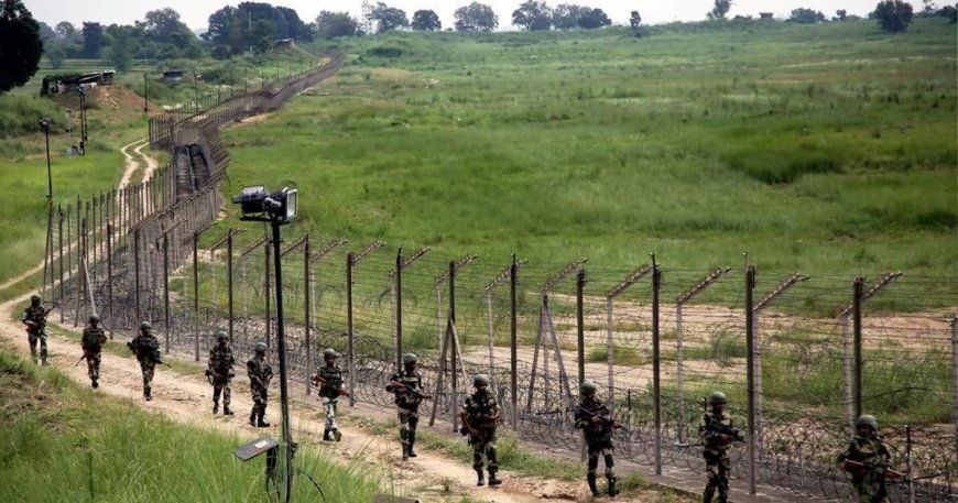 BSF Catches Pakistani Man Crossing Border in Punjab