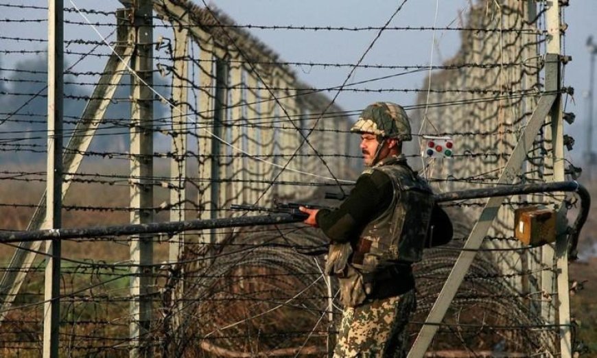 Operation Sindoor: BSF Stops Border Crossing in J&K's Samba, Kills 7 Terrorists