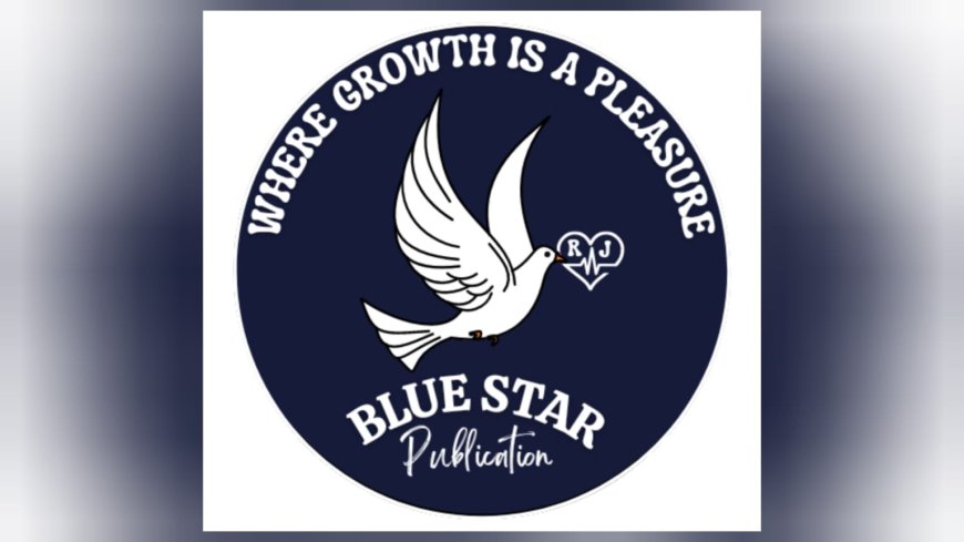 501 Writers Recognized Nationwide in Blue Star Publication’s LITSTAR Summit 2025