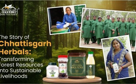 The Story of Chhattisgarh Herbals: Transforming Forest Resources into Sustainable Livelihoods