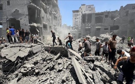 Why Were Peace Activists Blocked in Egypt While Heading Towards Gaza Border?